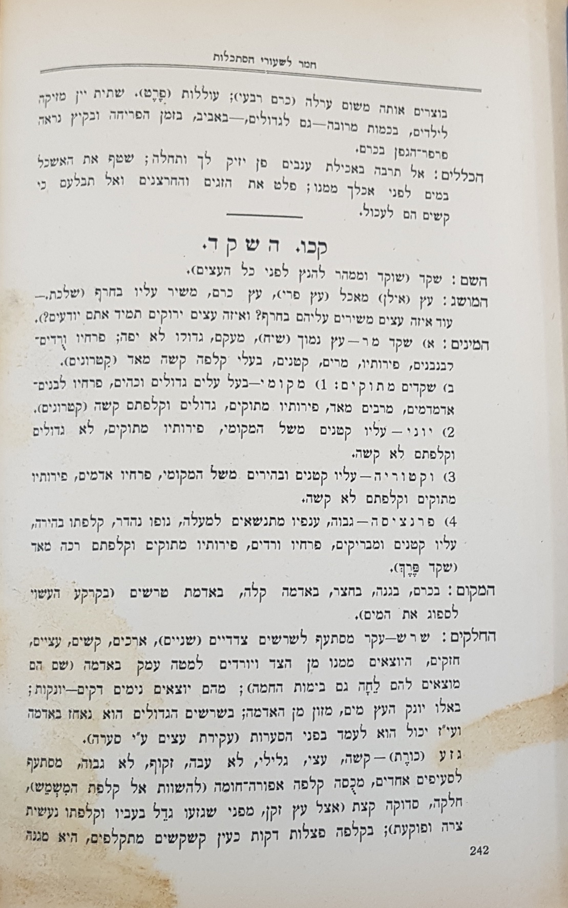  עמוד 242: שעורי הסתכלות