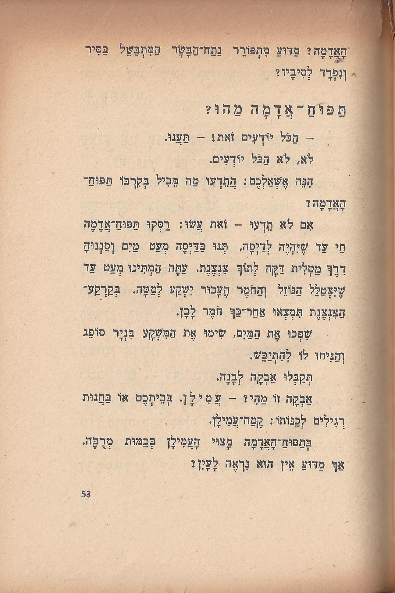 טיול בבית, מאת מ. אילין