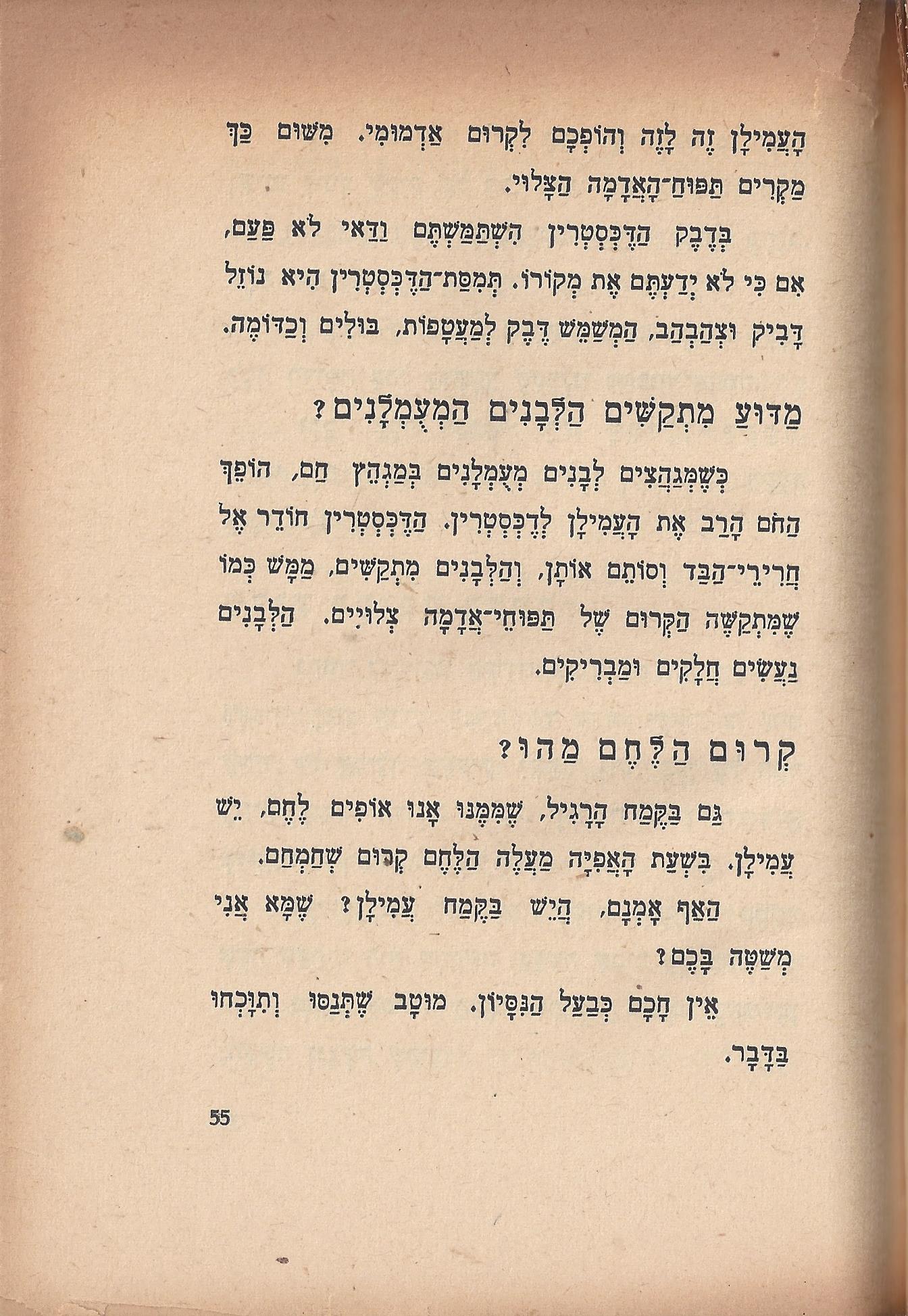 טיול בבית, מאת מ. אילין