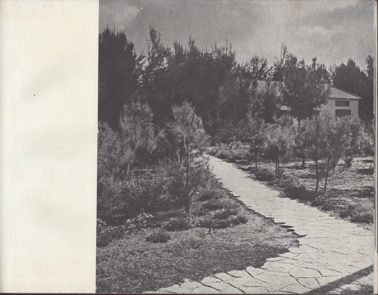 כפר-סבא אלבום, 1953