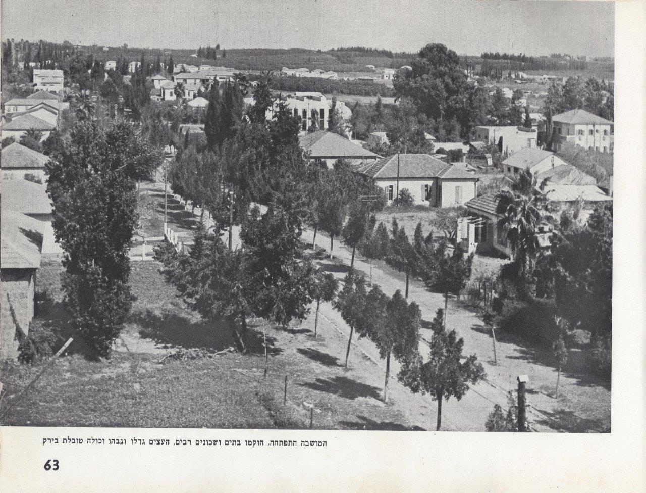 כפר-סבא אלבום, 1953