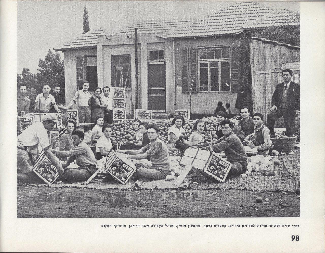 כפר-סבא אלבום, 1953