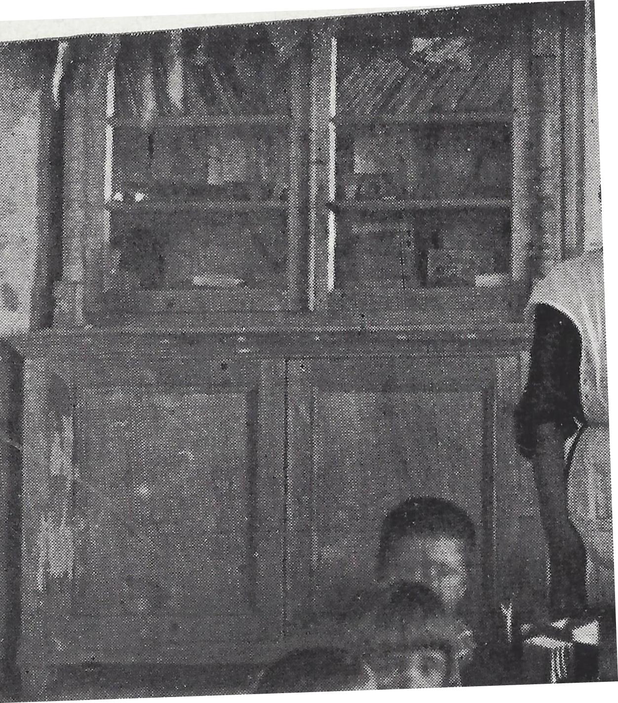 Bookcase in House of Rapaport