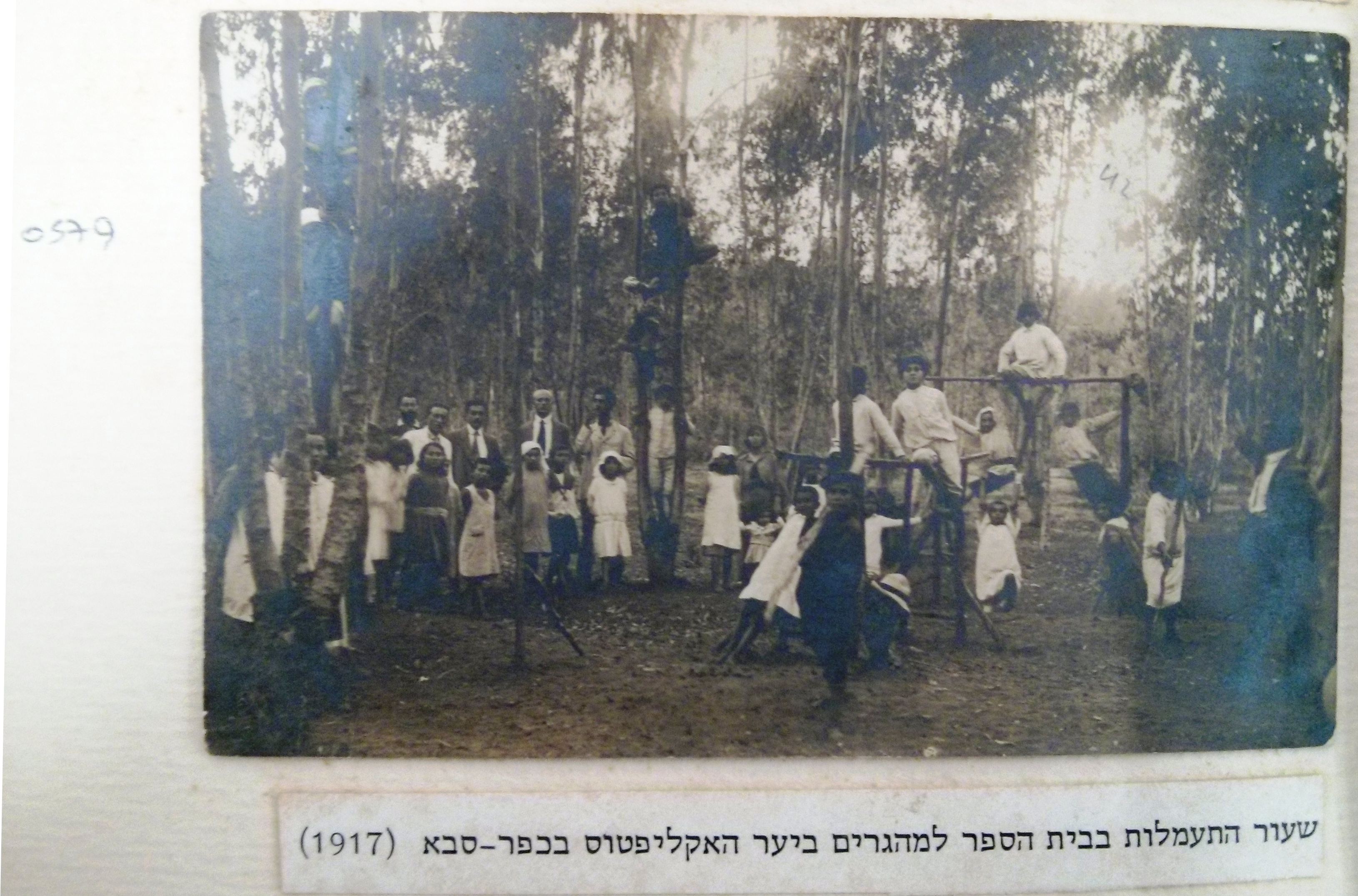 יום ההתעמלות, 1917