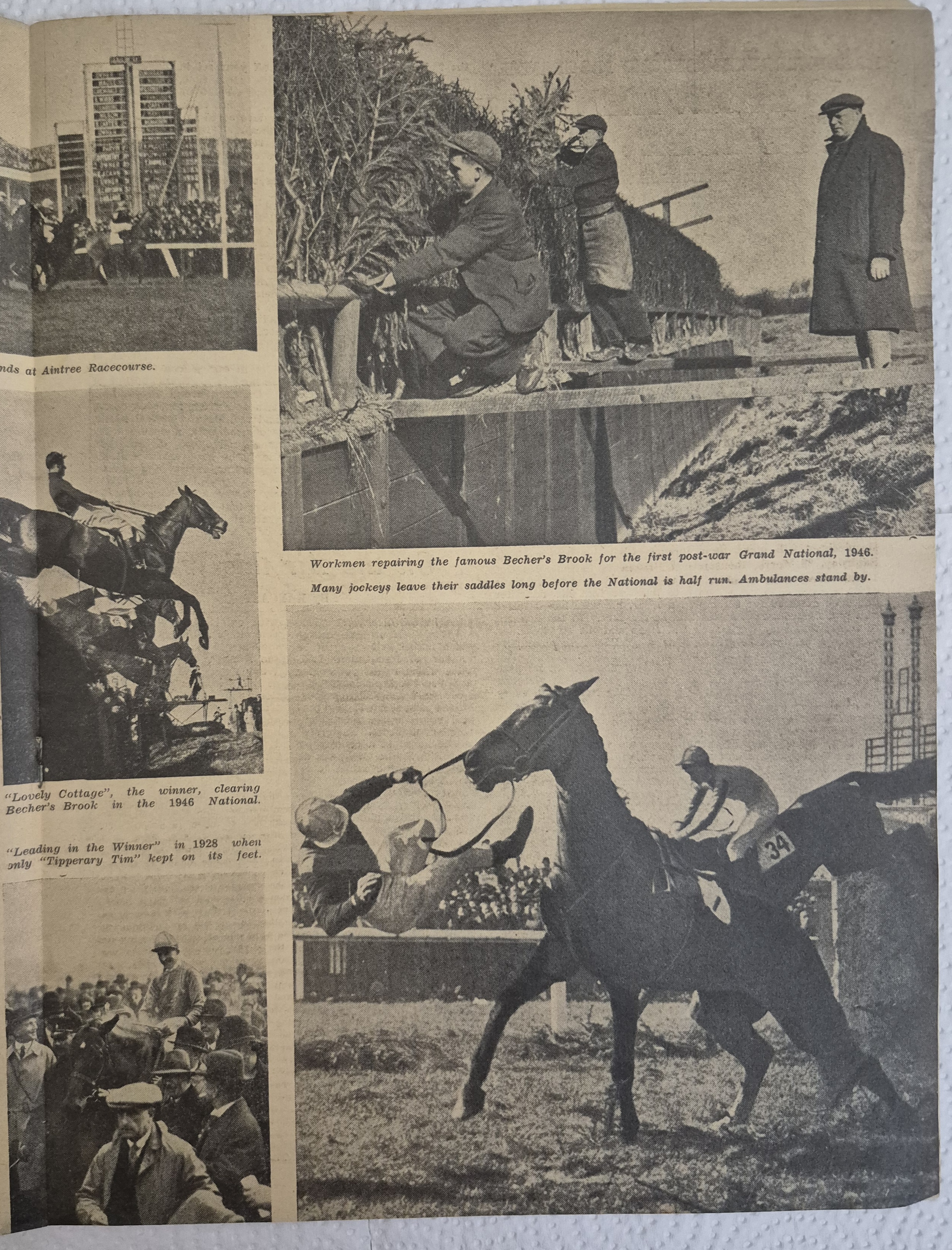   Photo: page 13