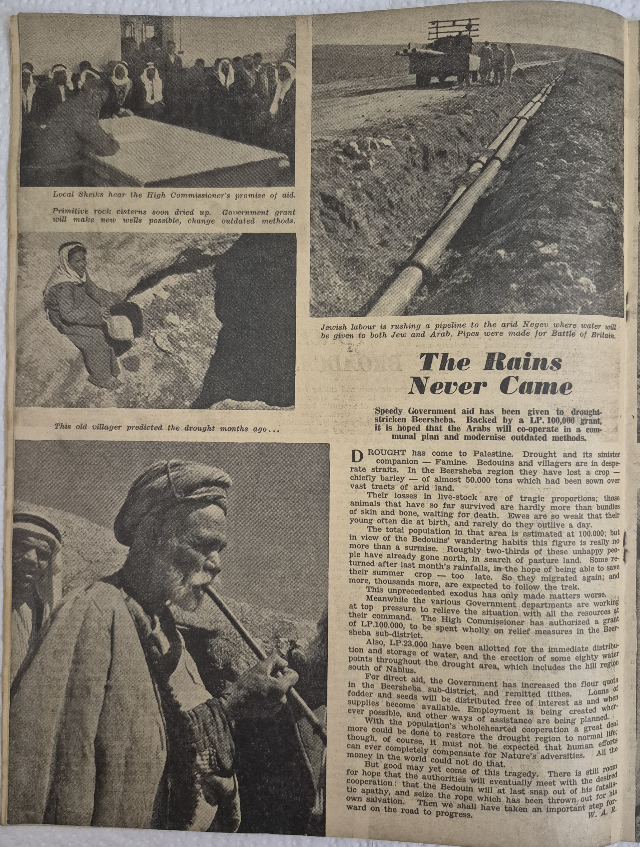  Photo: page 12
