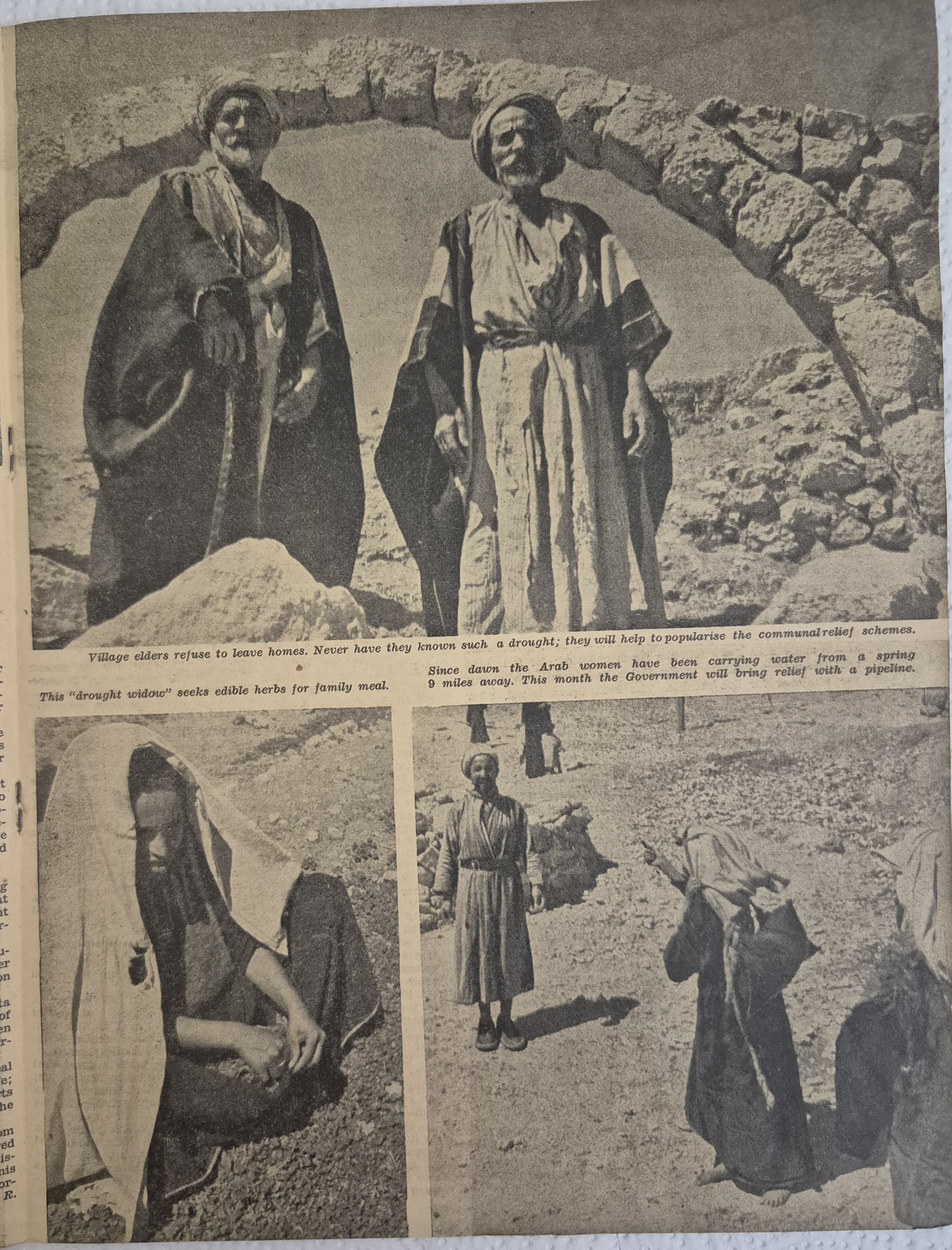   Photo: page 13