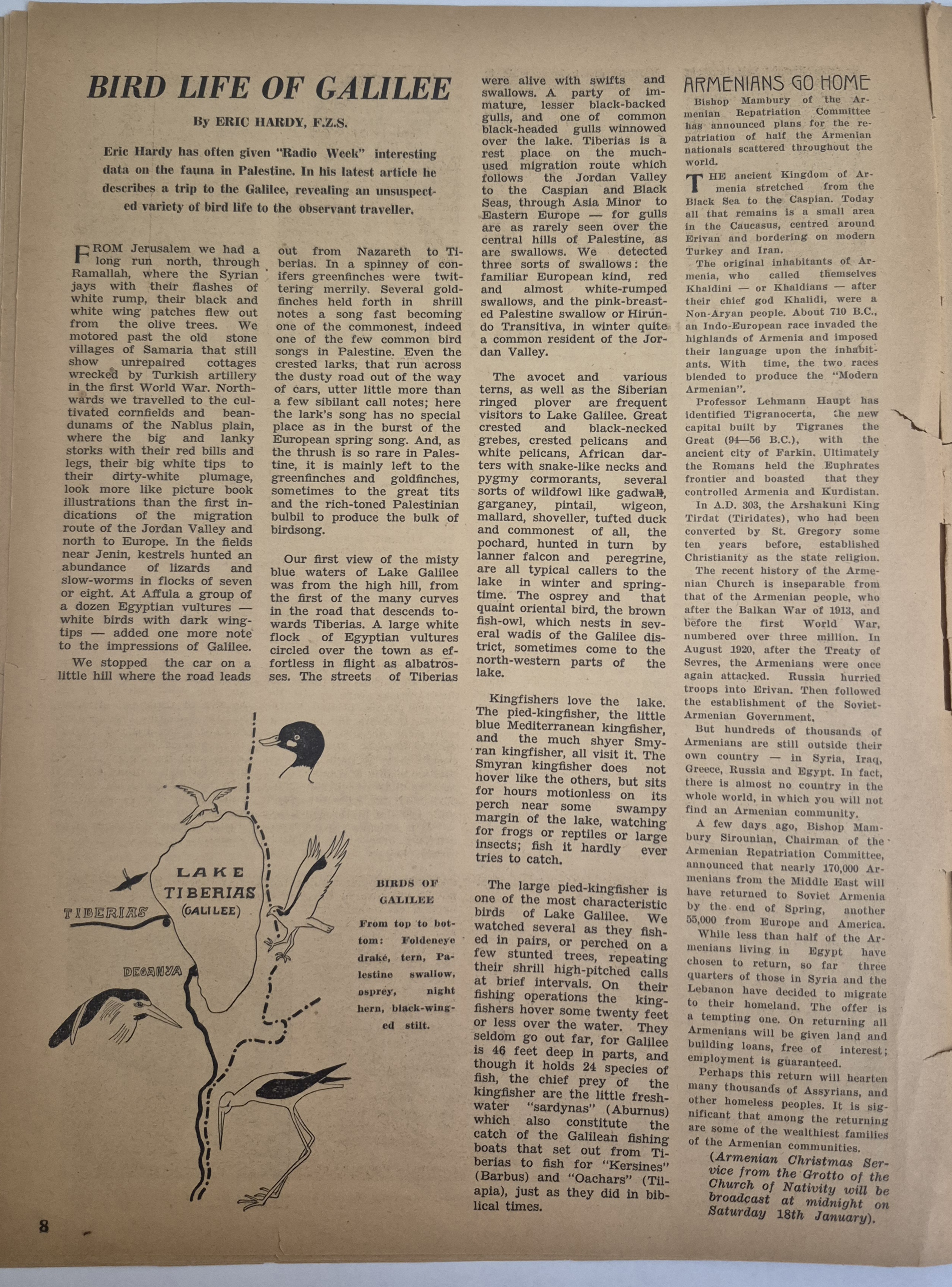   Photo: page 8