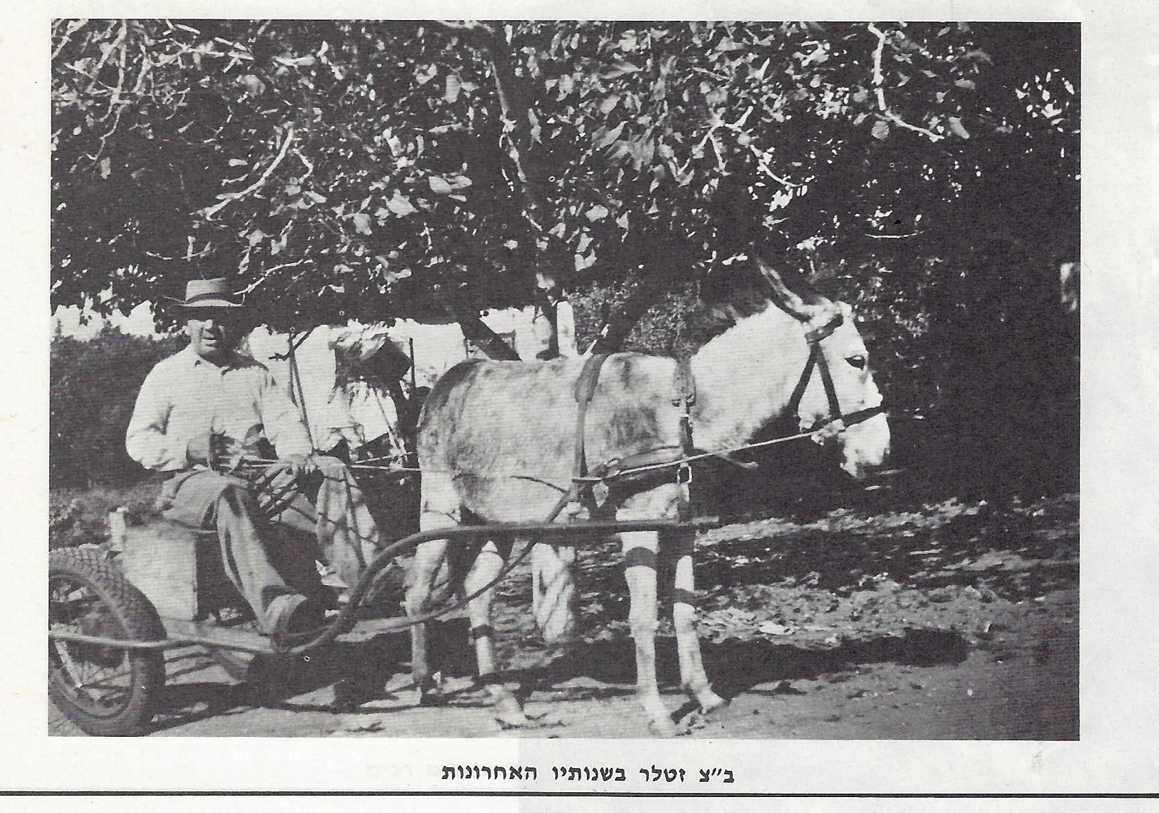 Photo of Benzion Zetler  with donkey and cart