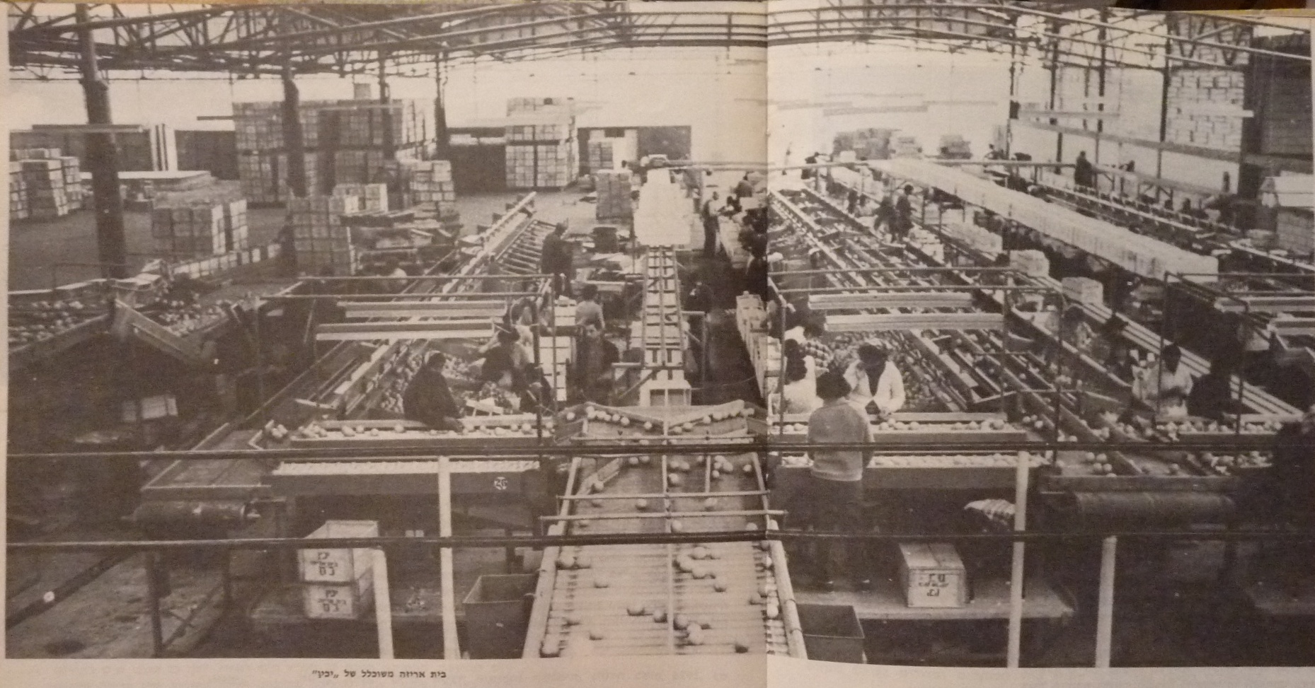 photo of the new and modern Yakhin factory in Kfar Sava in the 1960s